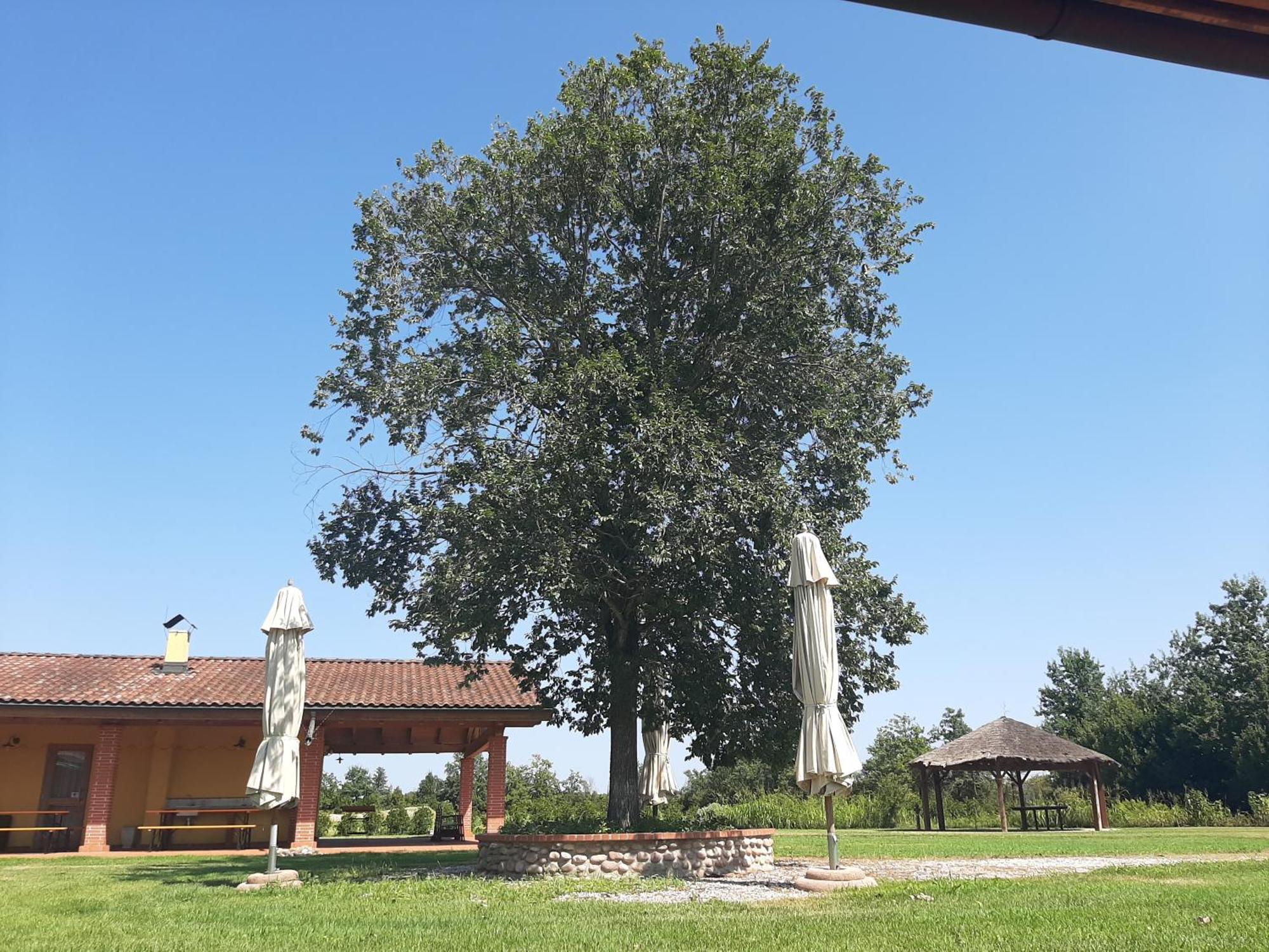 Corte All'Olmo เวโรนา ภายนอก รูปภาพ